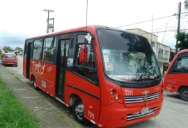 Bus Urbano, 2013