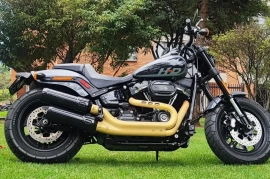 Harley Davidson Fat Bob 114, 2022