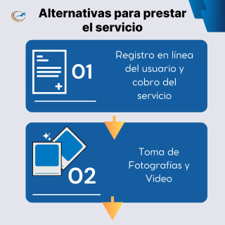 Alternativas para prestar el servicio